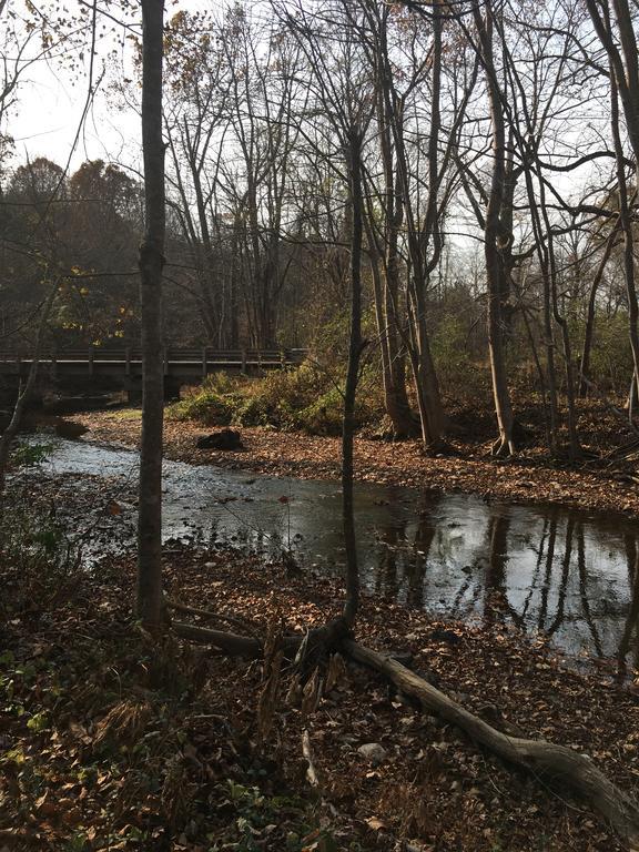 Serenity Views Bungalow - Close To City And Parkway! Villa Weaverville Luaran gambar
